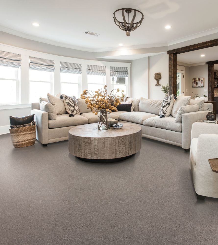 Shop Portico Smartstrand Maison Revival Haze PEC68-9724 Carpet