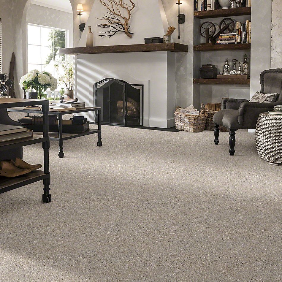 Shaw Floors Shaw Flooring Gallery Chromatic Tropic Pearl 53633_00100