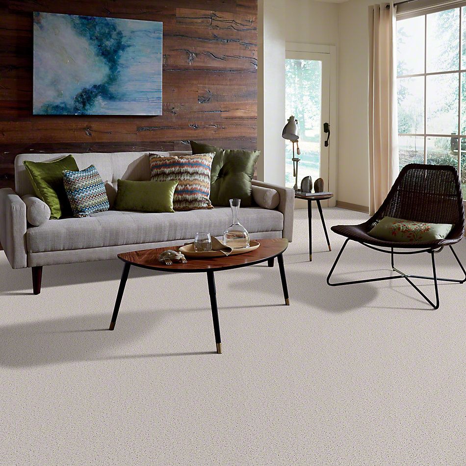 Shaw Floors Full Court 12′ Halo 00100_52Y46