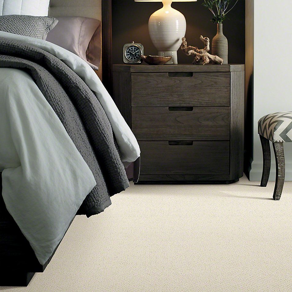 Shaw Floors Shaw Design Center Proven Identity Loop China Pearl 00100_5C695