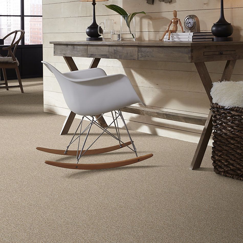 Shaw Floors Clayton Homes Enterprise Park Creamy Silk 00100_C013Y