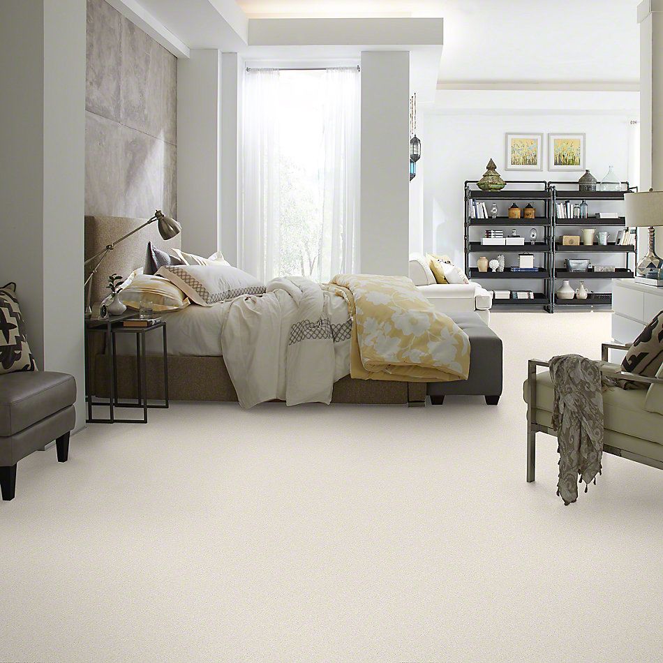 Shaw Floors Caress By Shaw Quiet Comfort Iv Icelandic 00100_CCB33