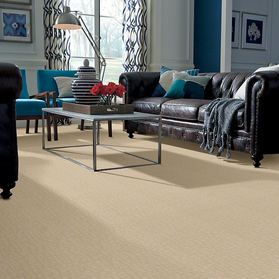 Shaw Floors Instant Impact Winter White 00100_E0530