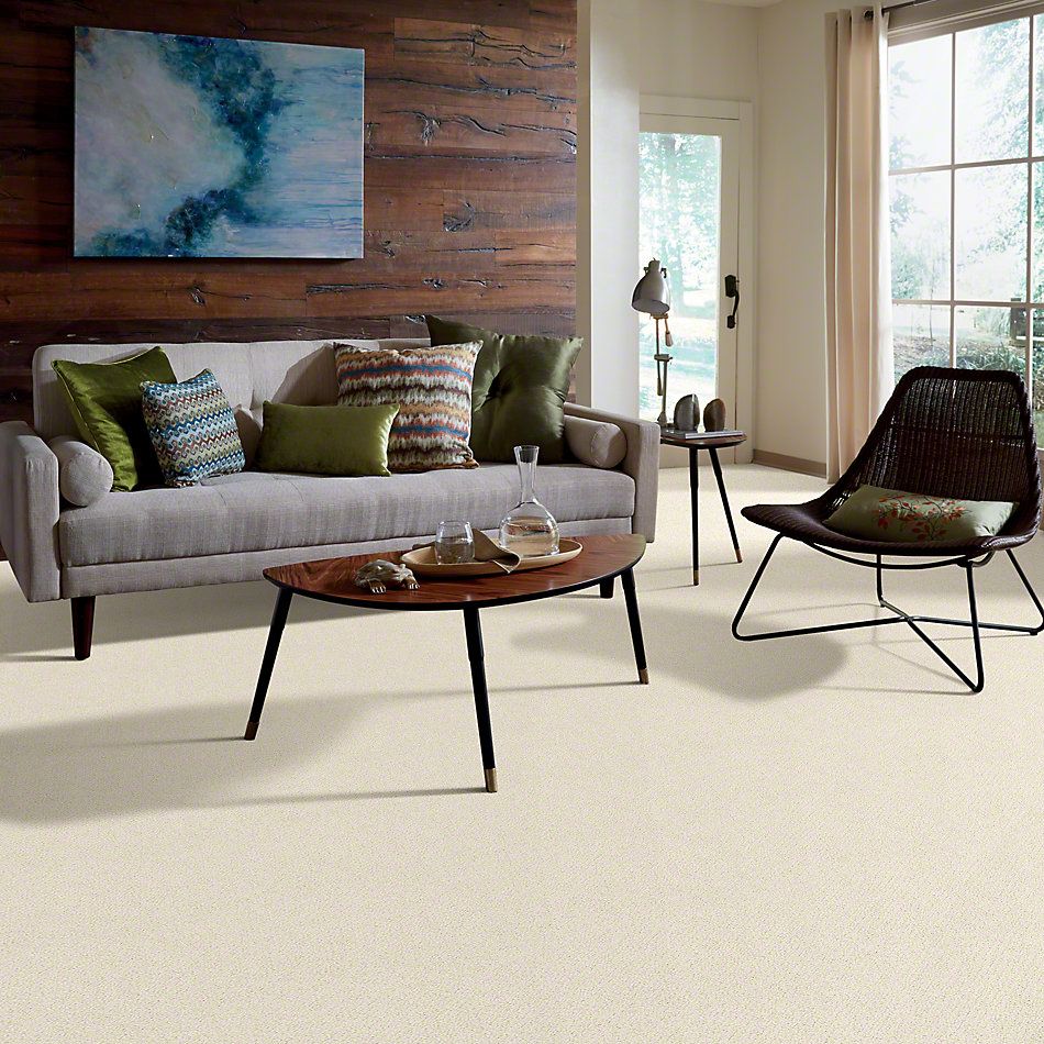 Shaw Floors Truly Relaxed Loop China Pearl 00100_E0657