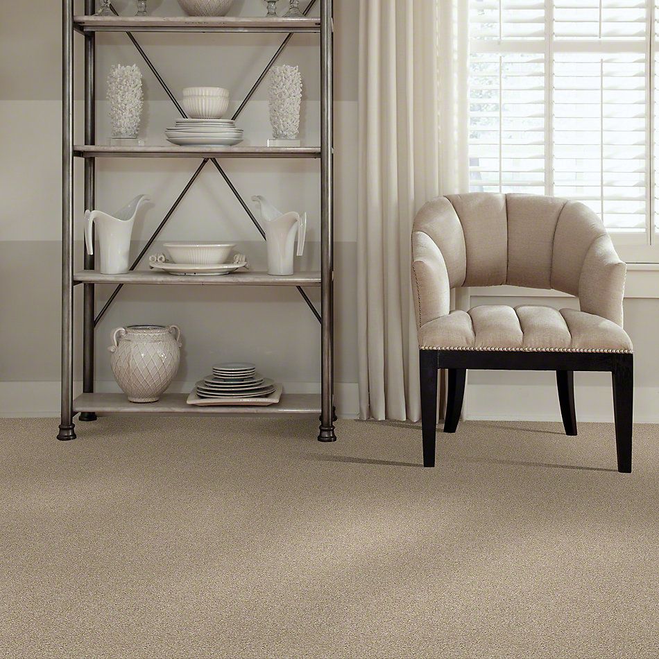 Shaw Floors Simply The Best Of Course We Can I 15′ Linen 00100_E9422