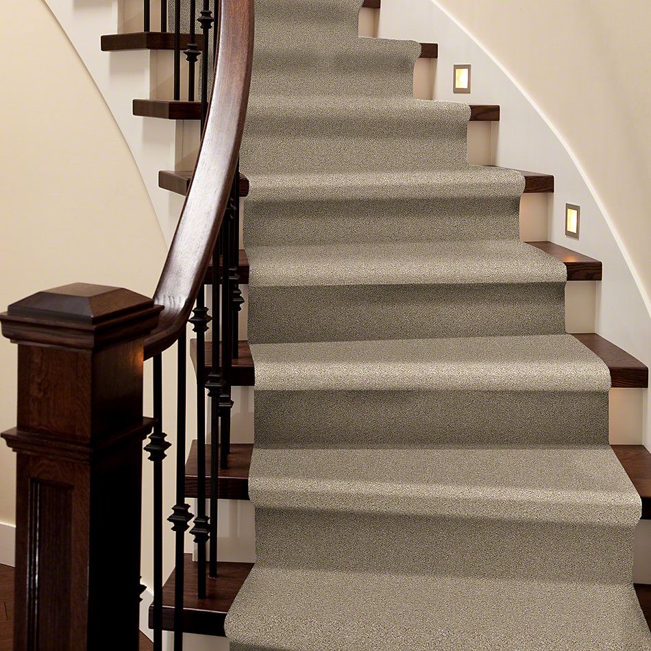 Shaw Floors Simply The Best Of Course We Can III 15′ Linen 00100_E9426
