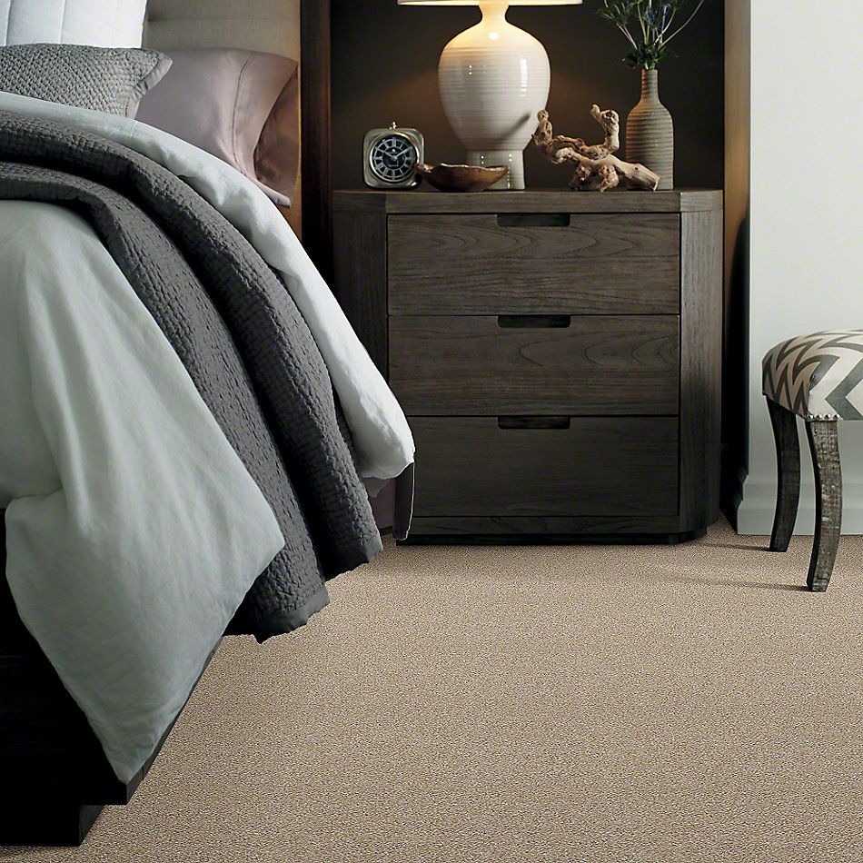 Shaw Floors Value Collections Of Course We Can II 15′ Net Linen 00100_E9438