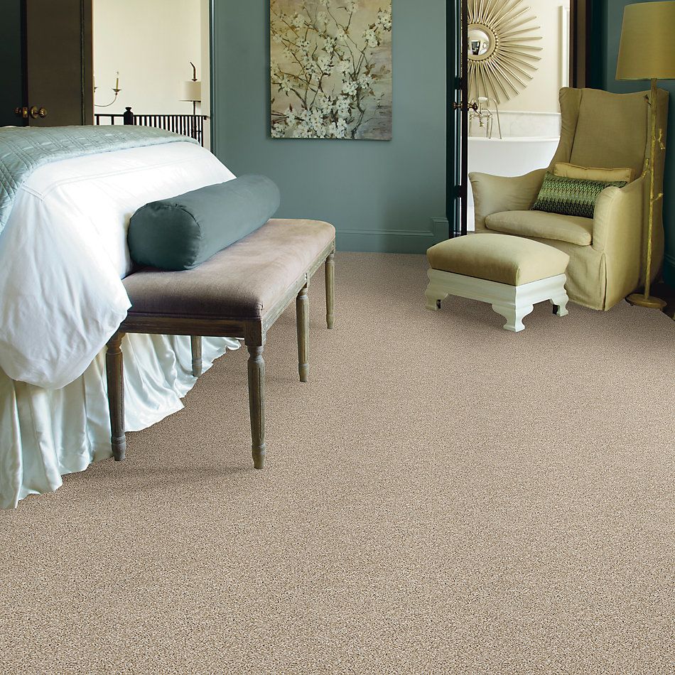 Shaw Floors Value Collections Shake It Up Net Creamy Silk 00100_E9595
