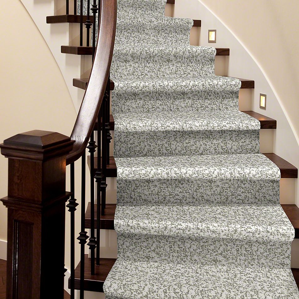 Shaw Floors Pet Perfect Plus Make Your Mark Super Fine 00100_E9649