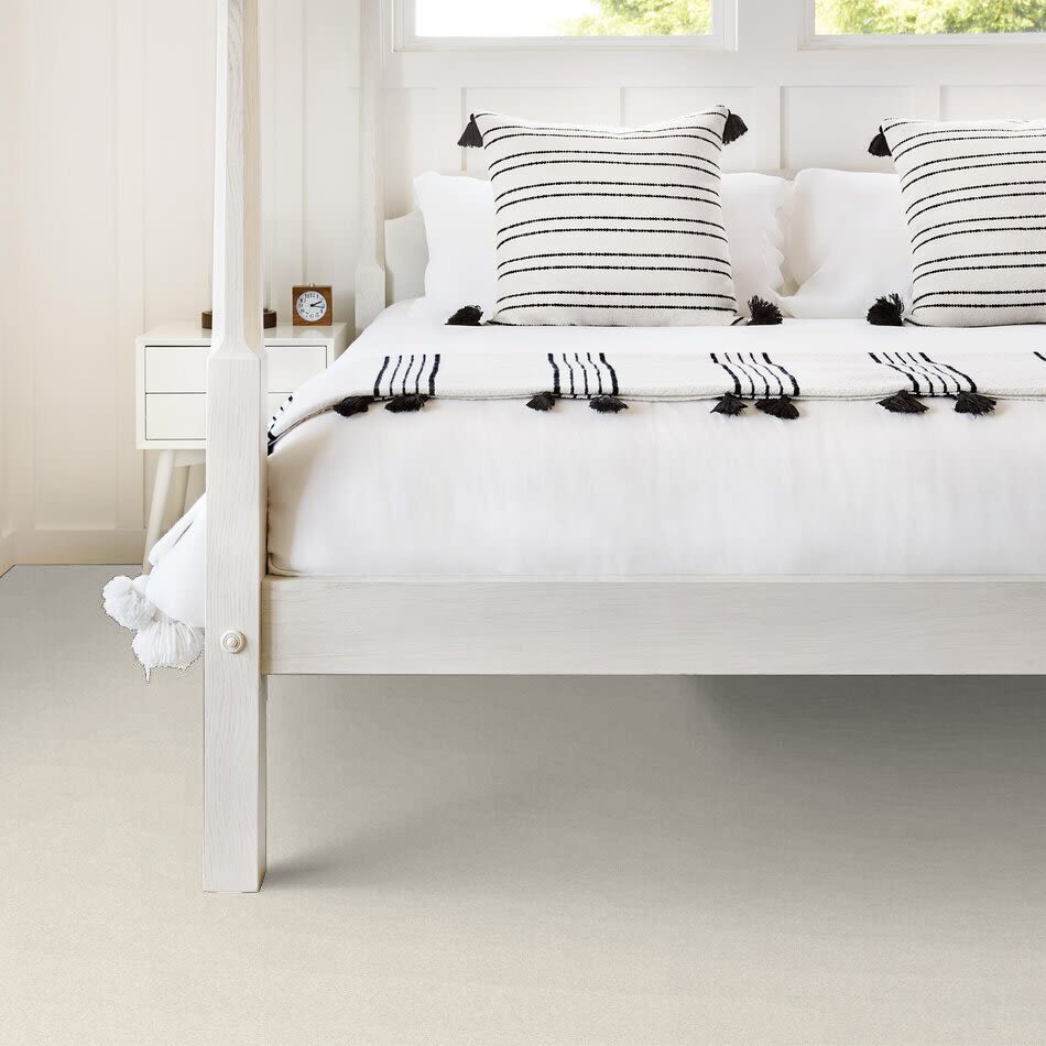 Shaw Floors Value Collections Cashmere Classic I Net Icelandic 00100_E9922