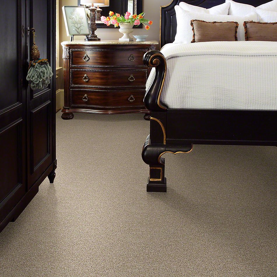 Shaw Floors Simply The Best Breathe & Reflect Biscotti 00100_EA688