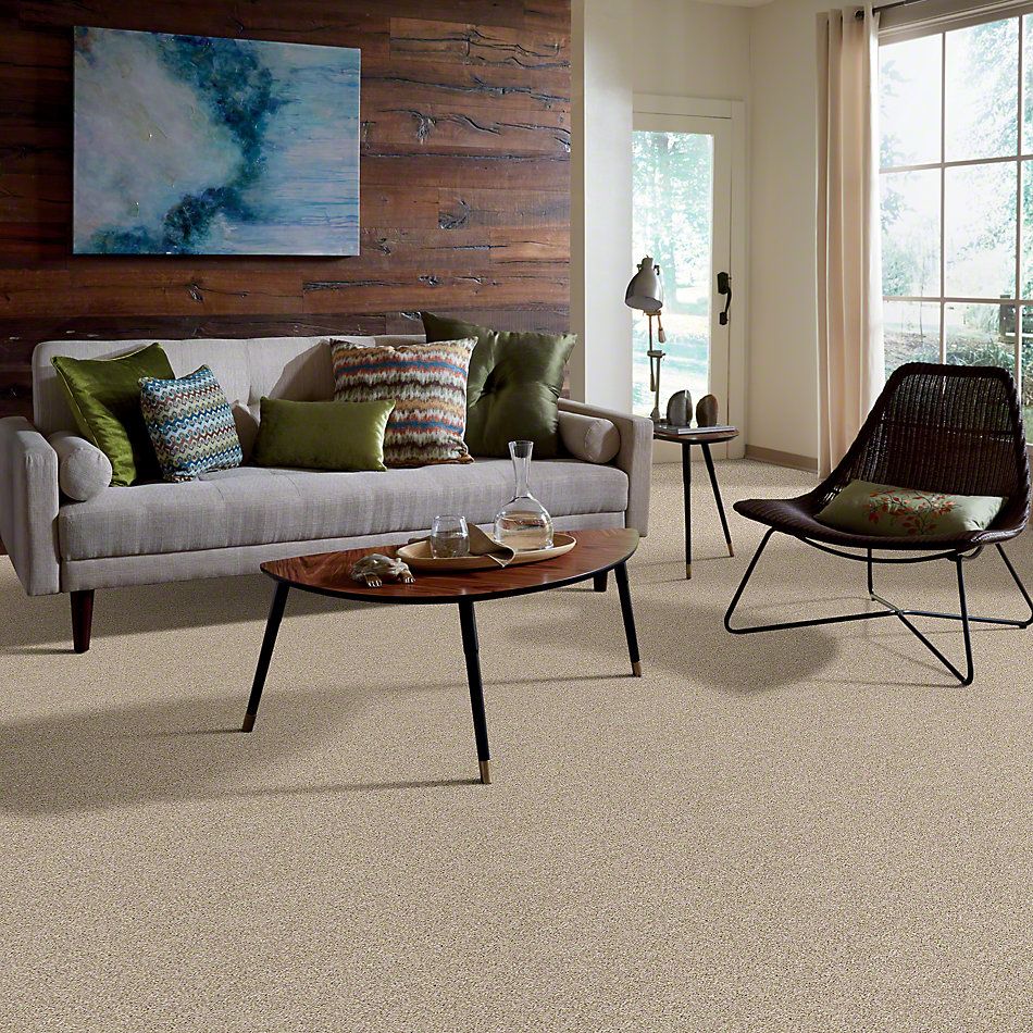 Shaw Floors Simply The Best Breathe & Reflect Biscotti 00100_EA688
