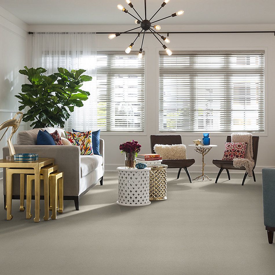 Shaw Floors Nfa Relentless III 12 Minimalist 00100_NA507