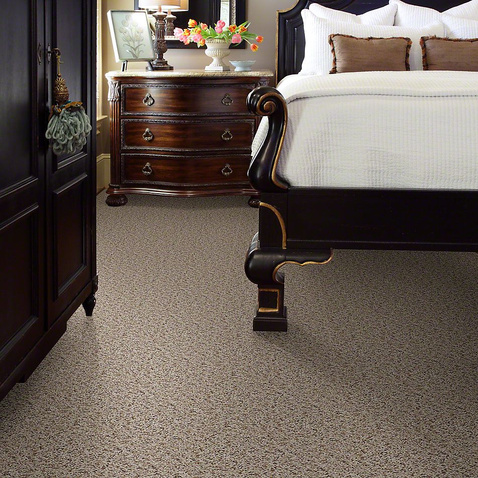 Shaw Floors Property Solutions New Twist Sand Swept 00100_PS564