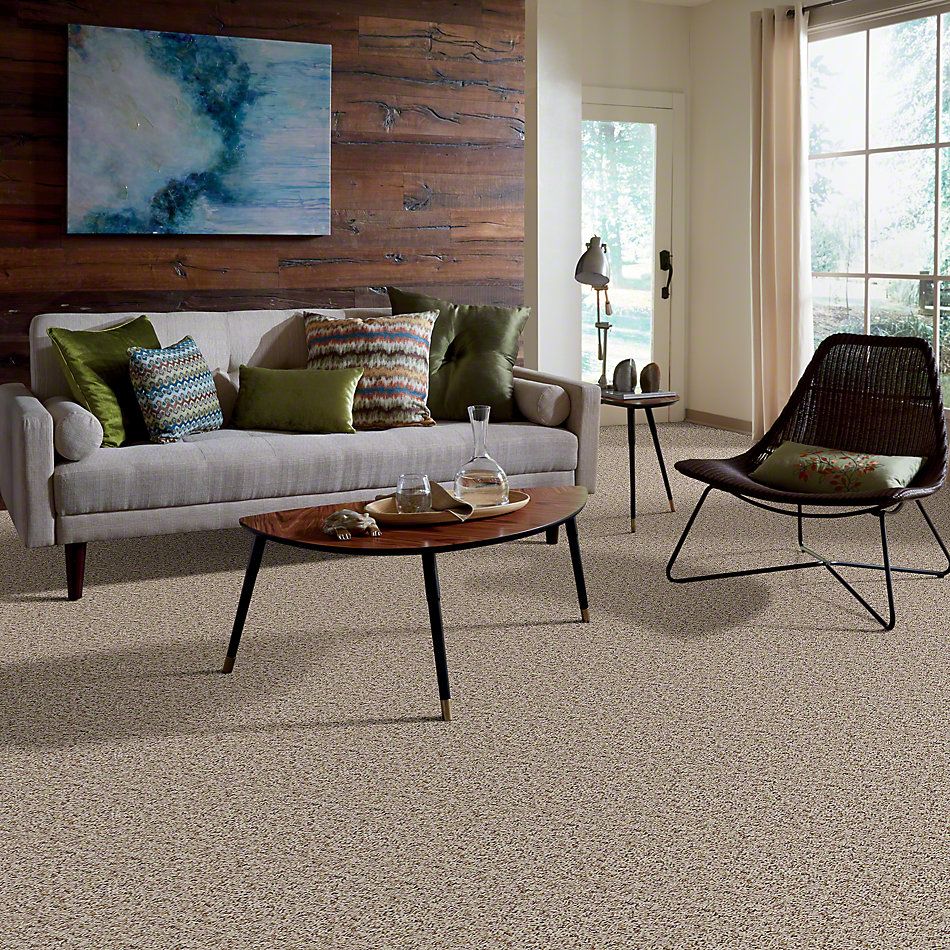 Shaw Floors Property Solutions New Twist Sand Swept 00100_PS564