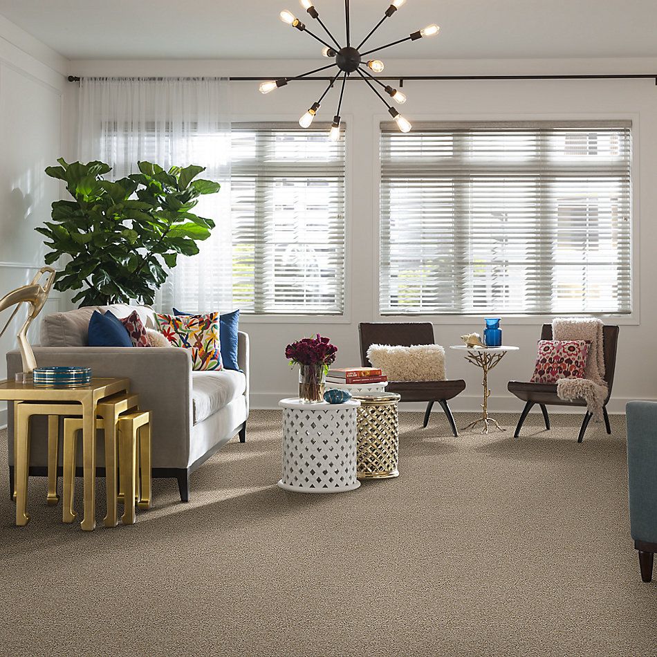 Shaw Floors Emerald Cove Biscotti 00100_SNS31