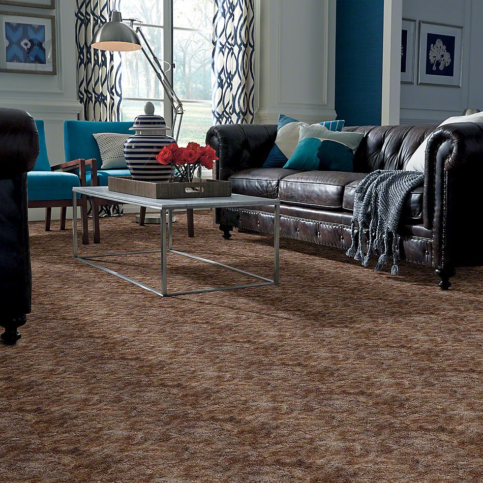Shaw Floors Dynamics Sandscape 52606_00101