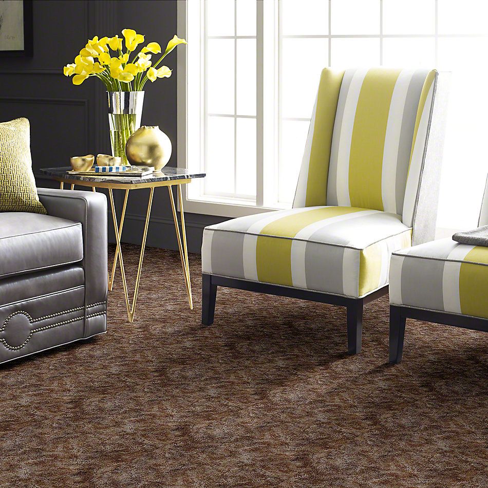 Shaw Floors Dynamics Sandscape 52606_00101