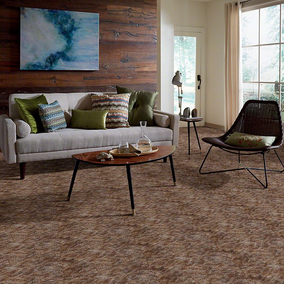 Shaw Floors Dynamics Sandscape 52606_00101