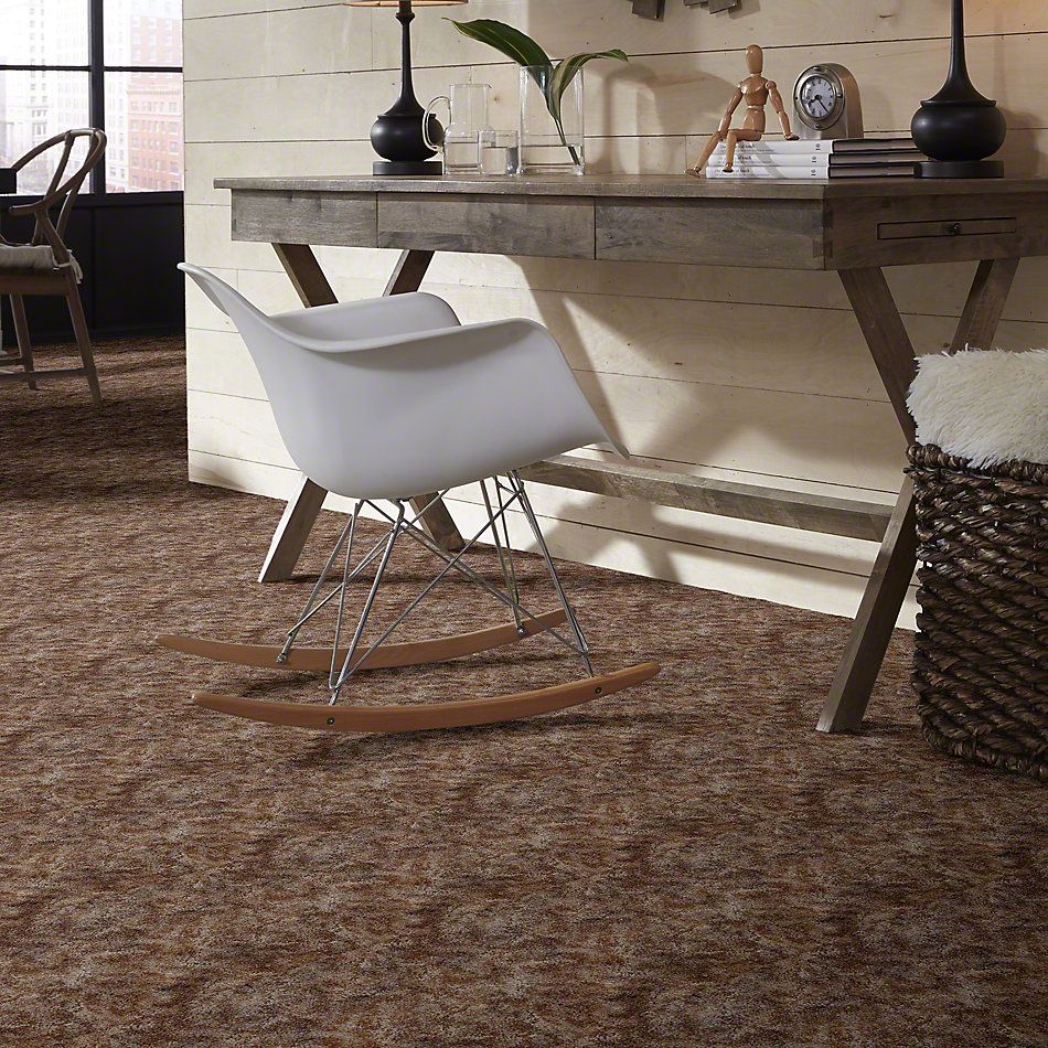 Shaw Floors Dynamics Sandscape 52606_00101