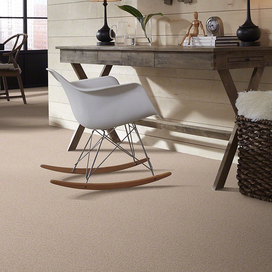 Shaw Floors Shaw Flooring Gallery Woodsboro Dream 00101_5278G