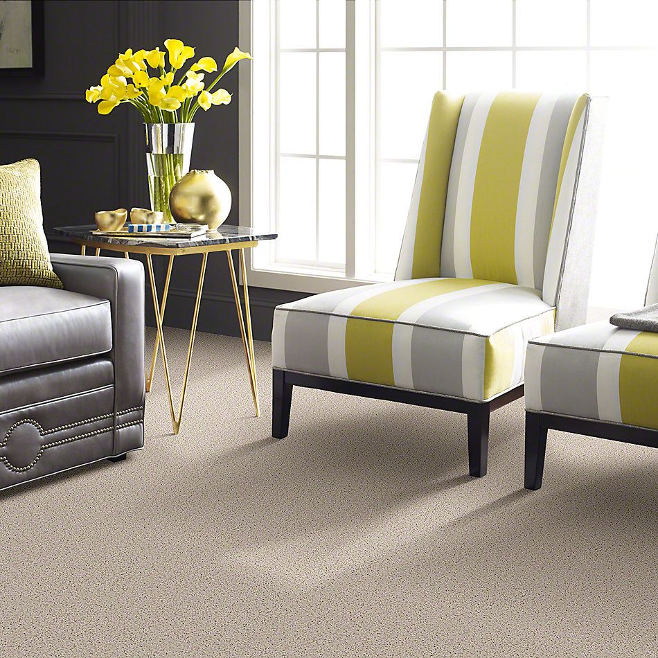 Shaw Floors Guess Work (s) Rich Cream 52T99_00101