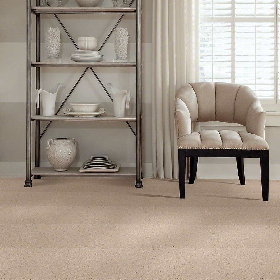 Shaw Floors Town Creek I 15′ Cream 52V12_00101