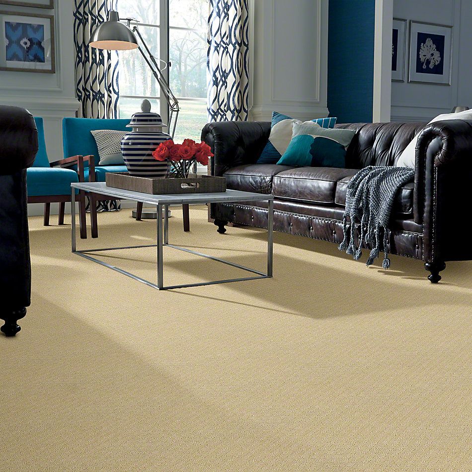 Shaw Floors Padova Linen 52V37_00101