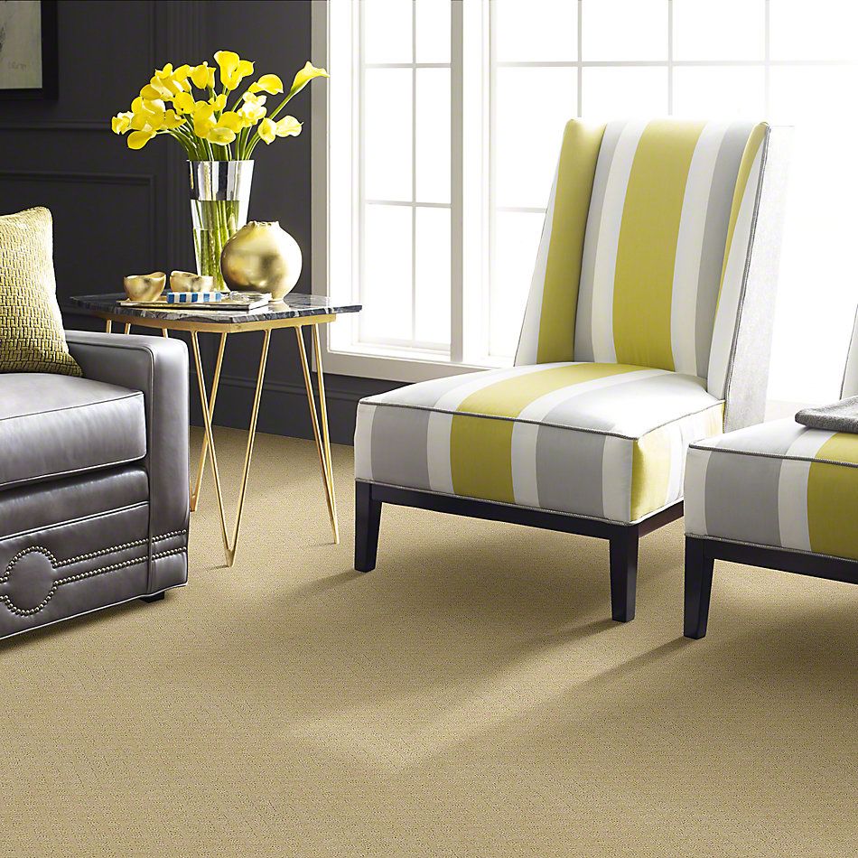 Shaw Floors Padova Linen 52V37_00101