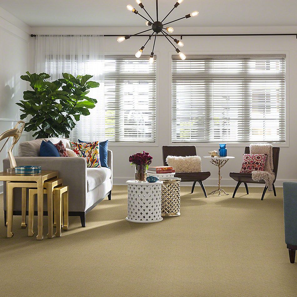 Shaw Floors Padova Linen 52V37_00101