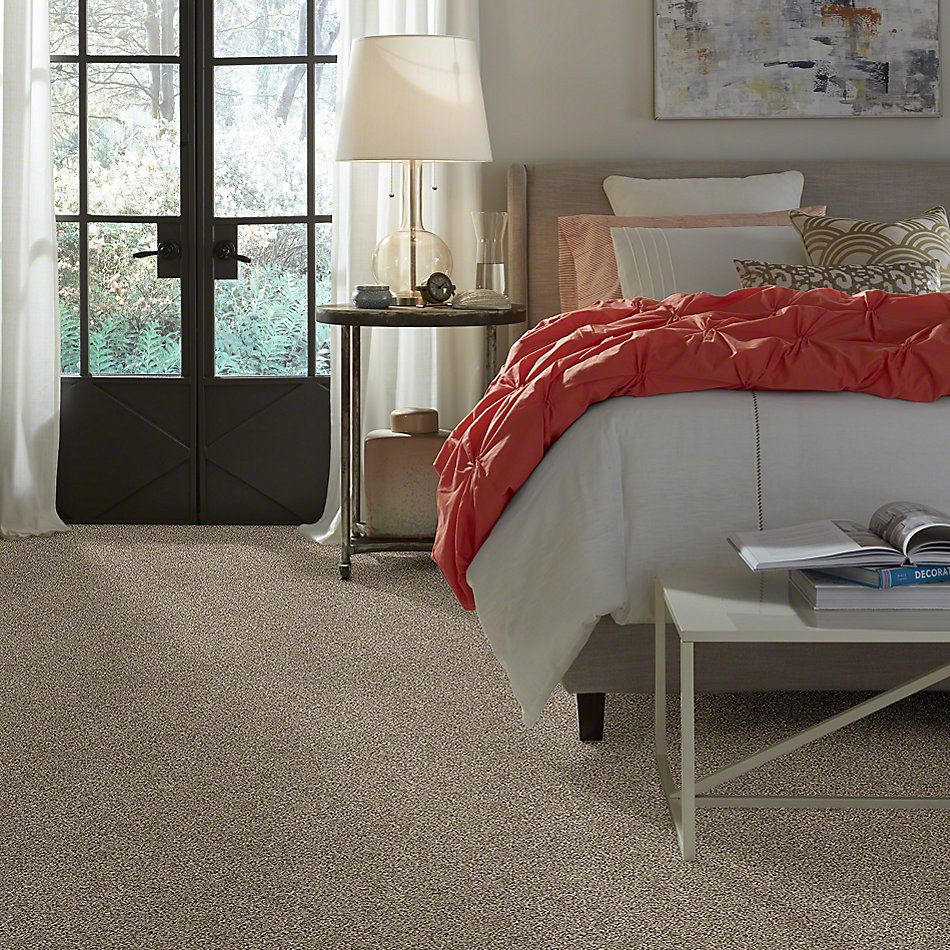 Shop Shaw Floors All About It Net Sugar Cookie 00101_5E052 Carpet Westport Flooring and Interiors