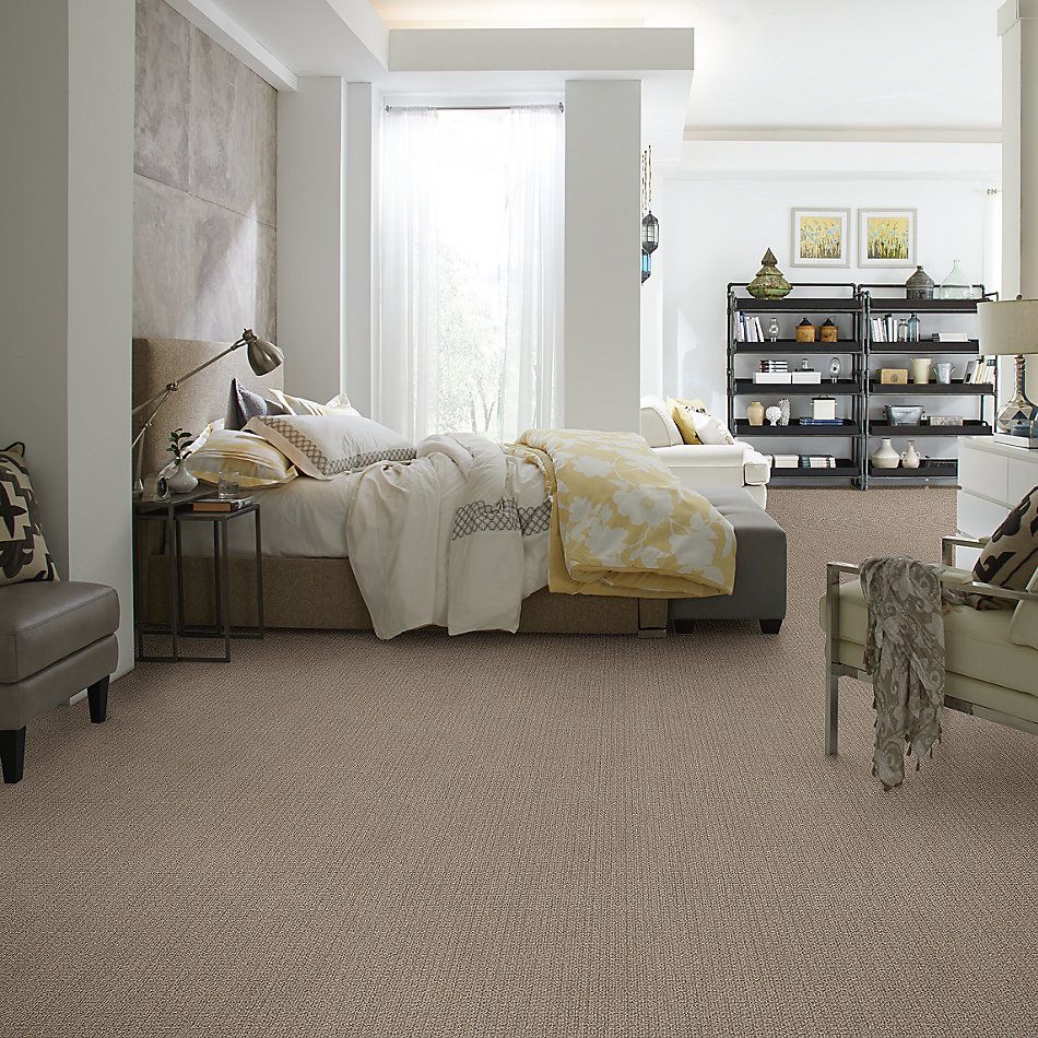 Shaw Floors Simply The Best Stay Fit Net French Linen 00101_5E330