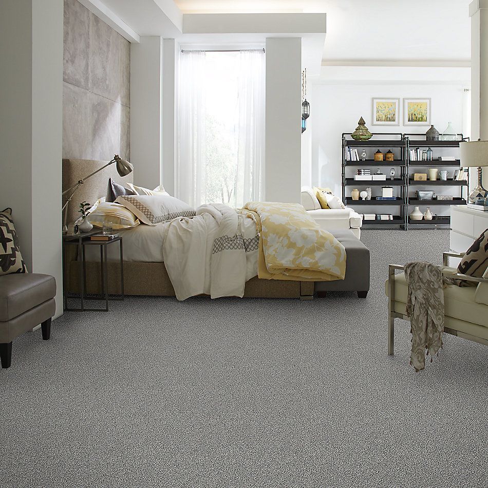 Shaw Floors Value Collections Within Reach III Net Serene Still 00101_5E337