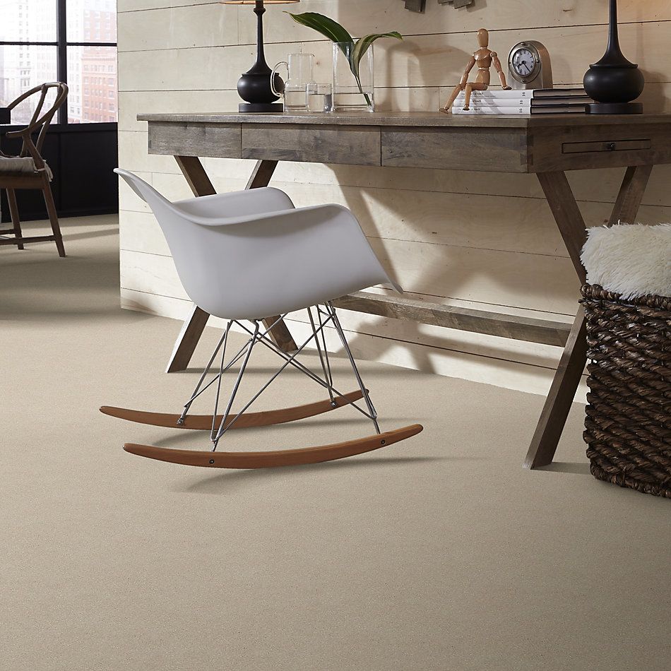 Shaw Floors Simply The Best Solidify II 12 Net Bleached 00101_5E339