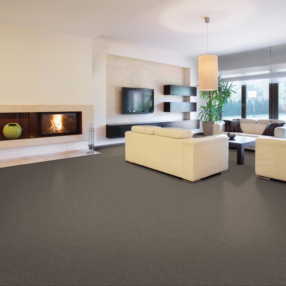 Shaw Floors Simply The Best Without Limits I Net Abalone 00101_5E507