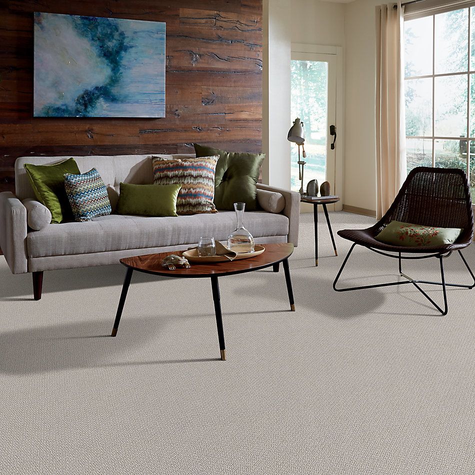 Shaw Floors Value Collections Channeling Net Minimal 00101_5E517