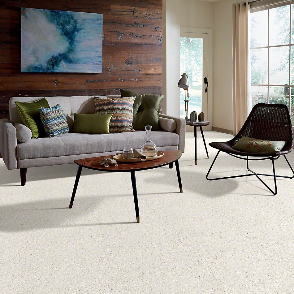 Shaw Floors Caress By Shaw Rich Opulence Calm 00101_CCS88