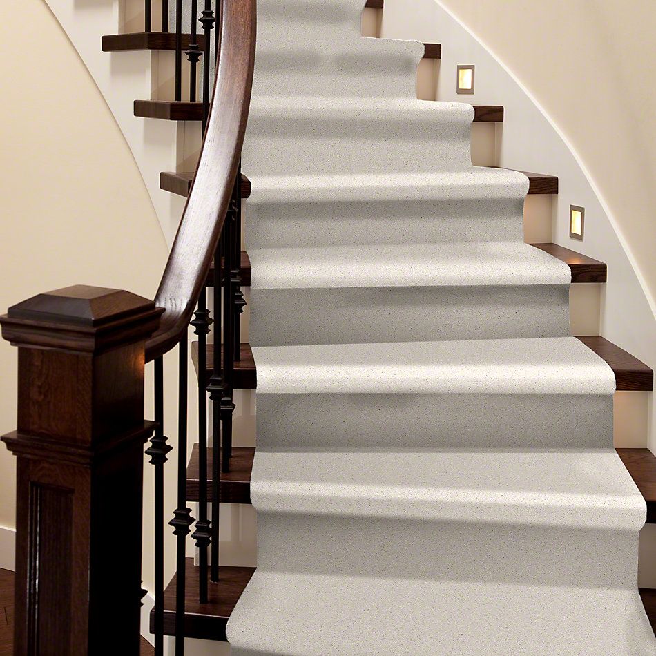 Shaw Floors SFA Timeless Appeal I 15′ Mushroom 00101_Q4311