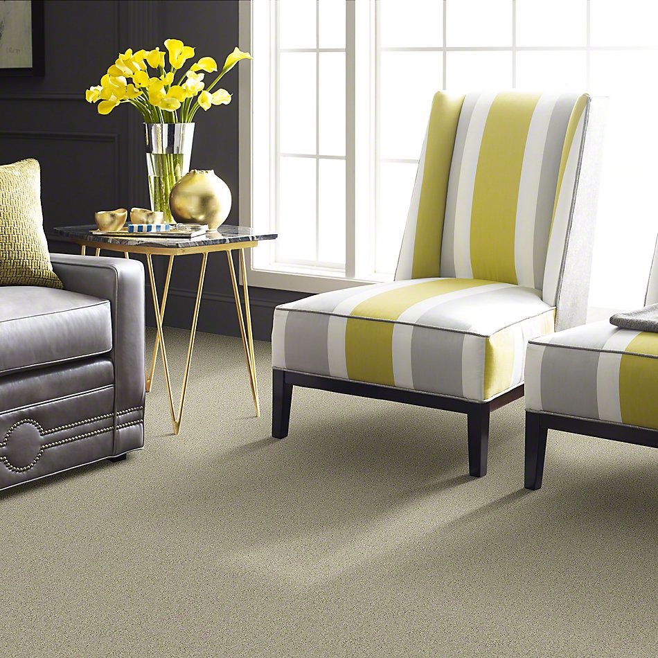 Shaw Floors Entourage Texture Candlewick GF00101_E0342
