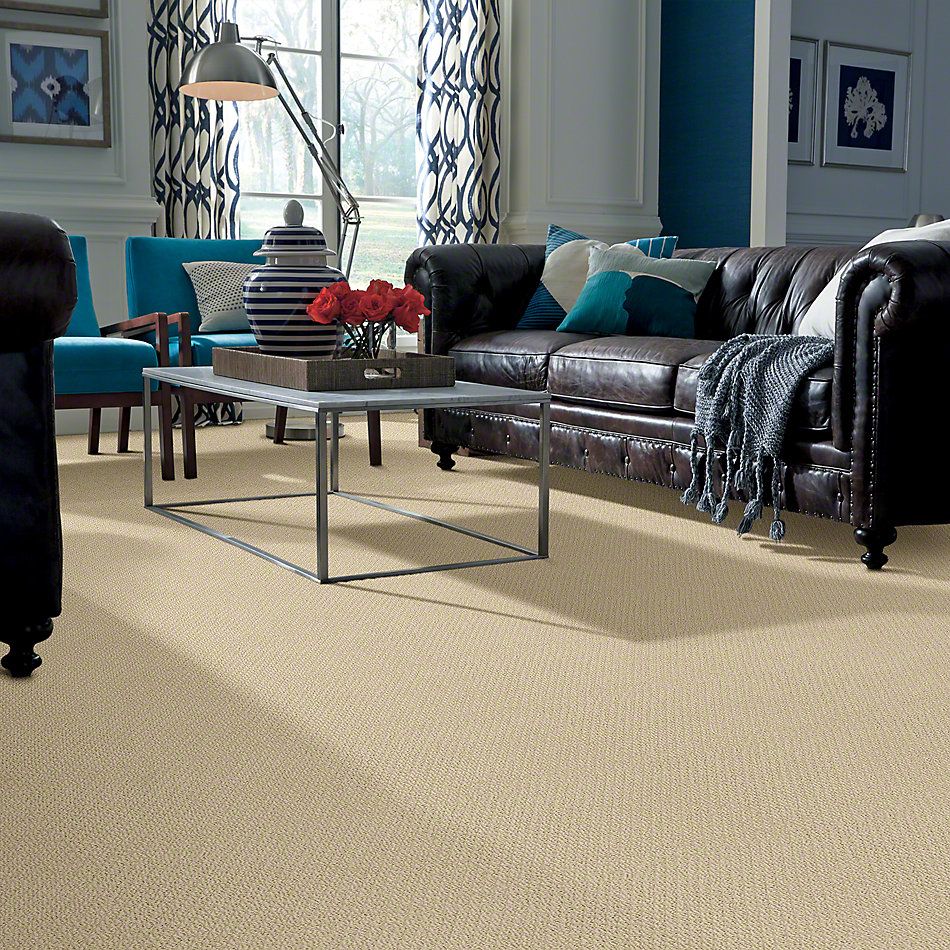 Shaw Floors Ready To Go Linen 00101_E0487