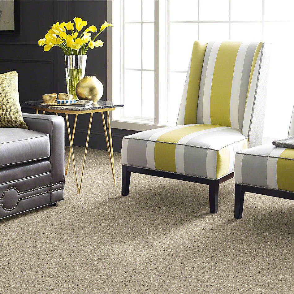 Shaw Floors Optimum Texture Linen GF00101_E0523