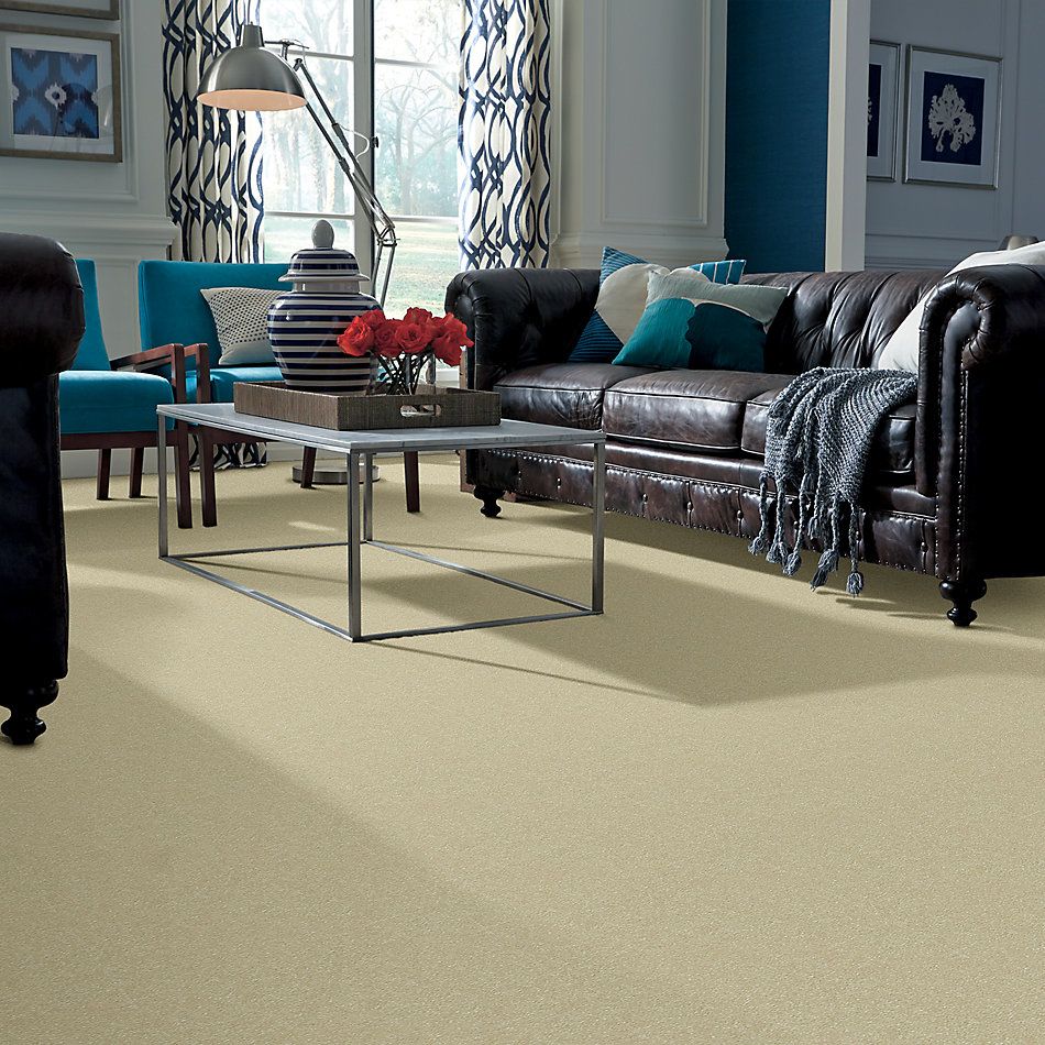 Shaw Floors Value Collections Passageway 2 12 Cream 00101_E9153
