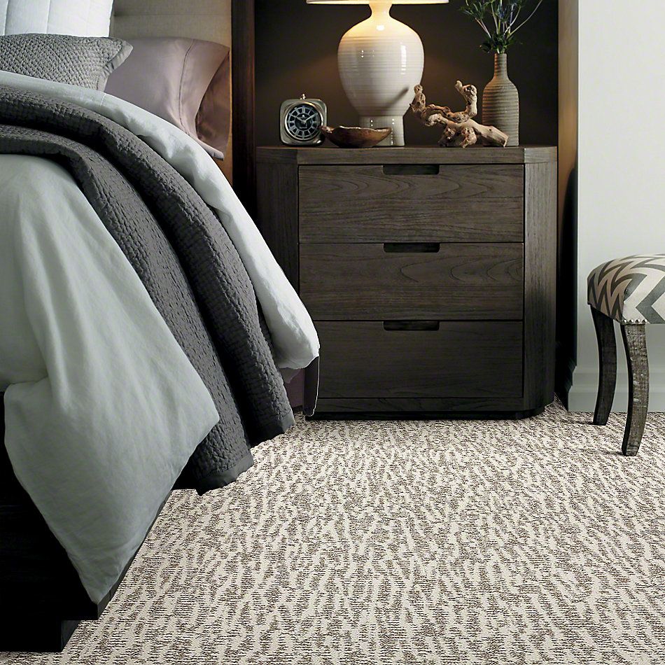 Shaw Floors Bellera Obvious Choice Snow Fall 00101_E9648