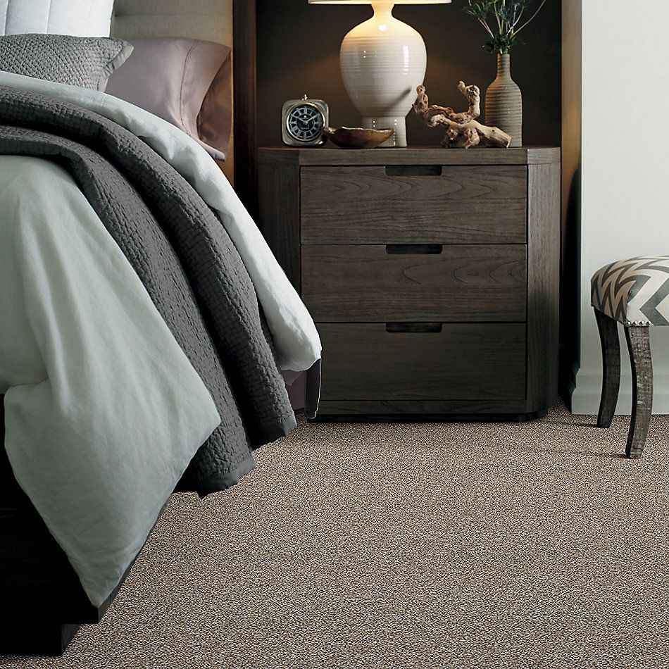 Shaw Floors Value Collections Shake It Up Tweed Net Weathered 00101_E9858