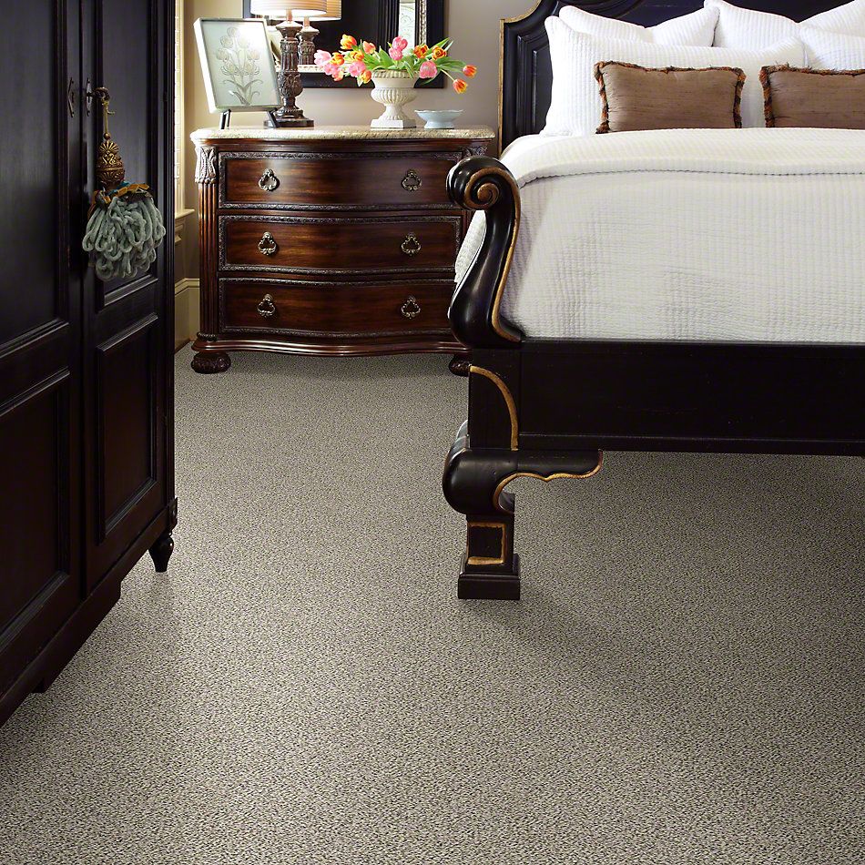Shaw Floors Simply The Best All Set II Goose Feather 00101_E9875
