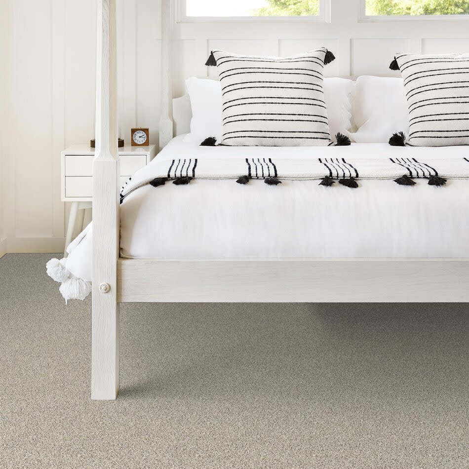 Shaw Floors Simply The Best All Set I Net Goose Feather 00101_E9894