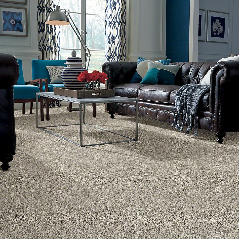 Shaw Floors Value Collections All Set II Net Goose Feather 00101_E9895