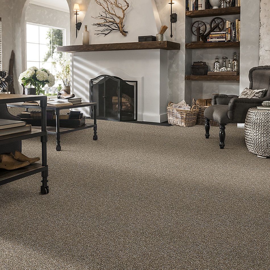 Shaw Floors Value Collections Color Moxie Sugar Cookie 00101_E9900