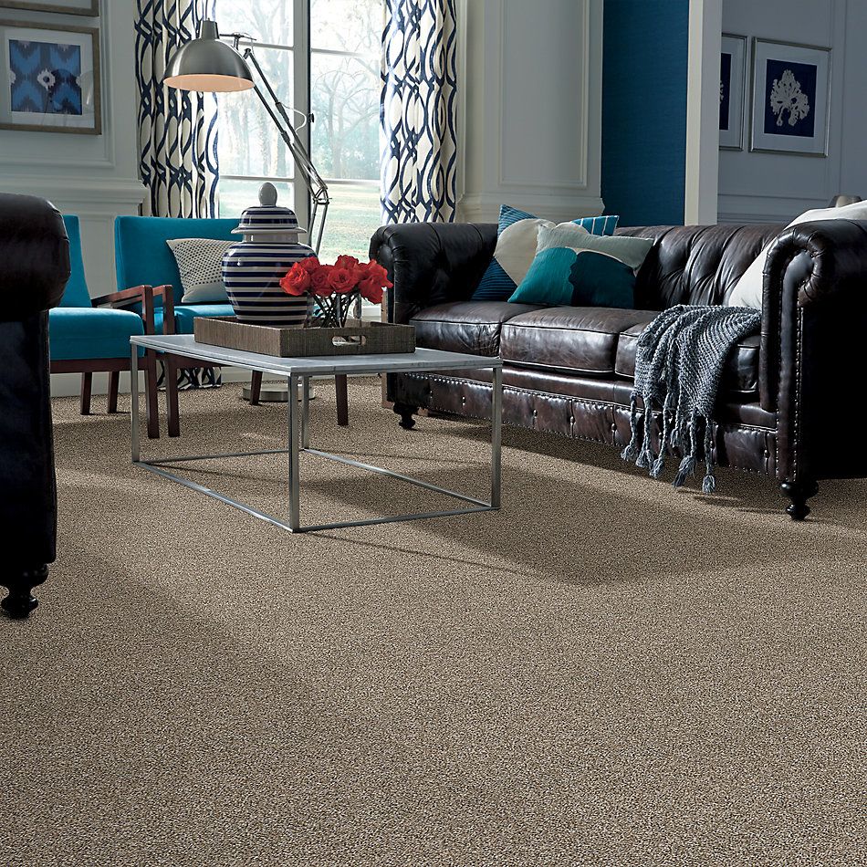 Shaw Floors Value Collections Go All Out Weathered 00101_E9909