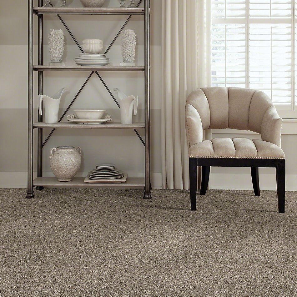 Shaw Floors Simply The Best Breathe & Reflect Sugar Cookie 00101_EA688